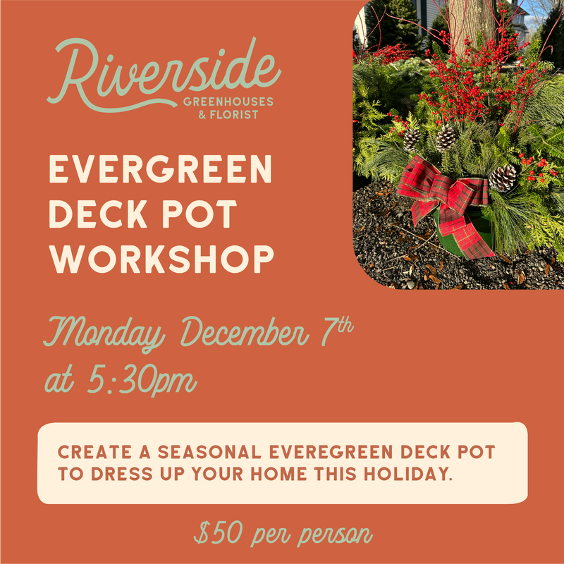 Evergreen Deck Pot Workshop Monday, December 7th
