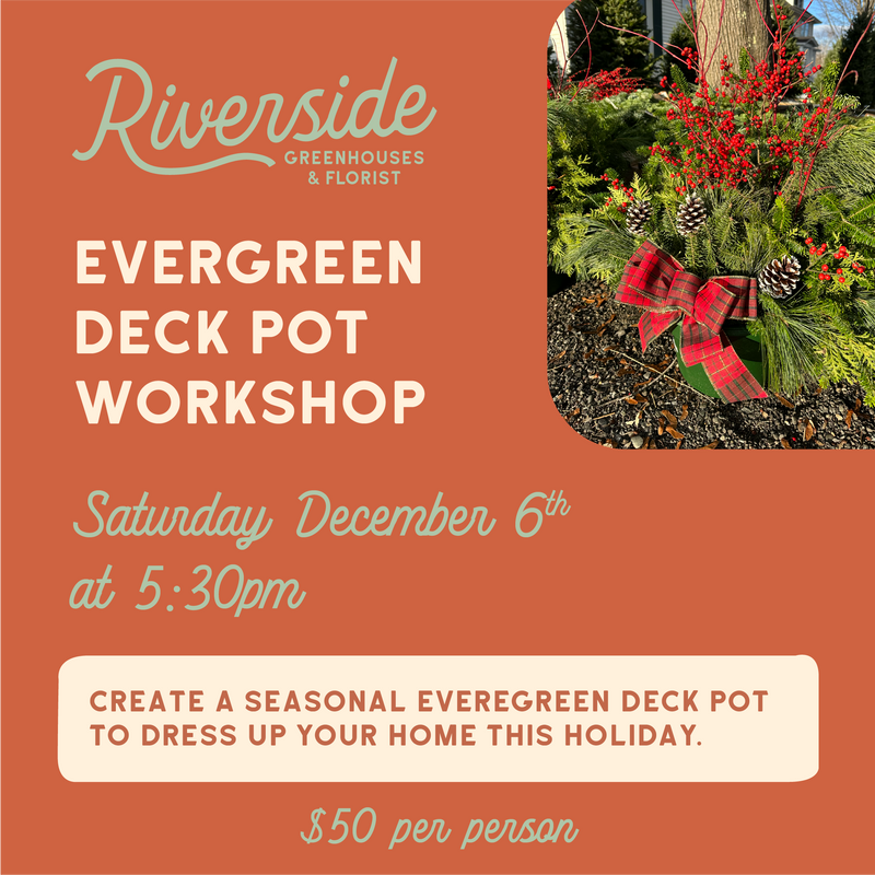 Evergreen Deck Pot Workshop Saturday, December 6th