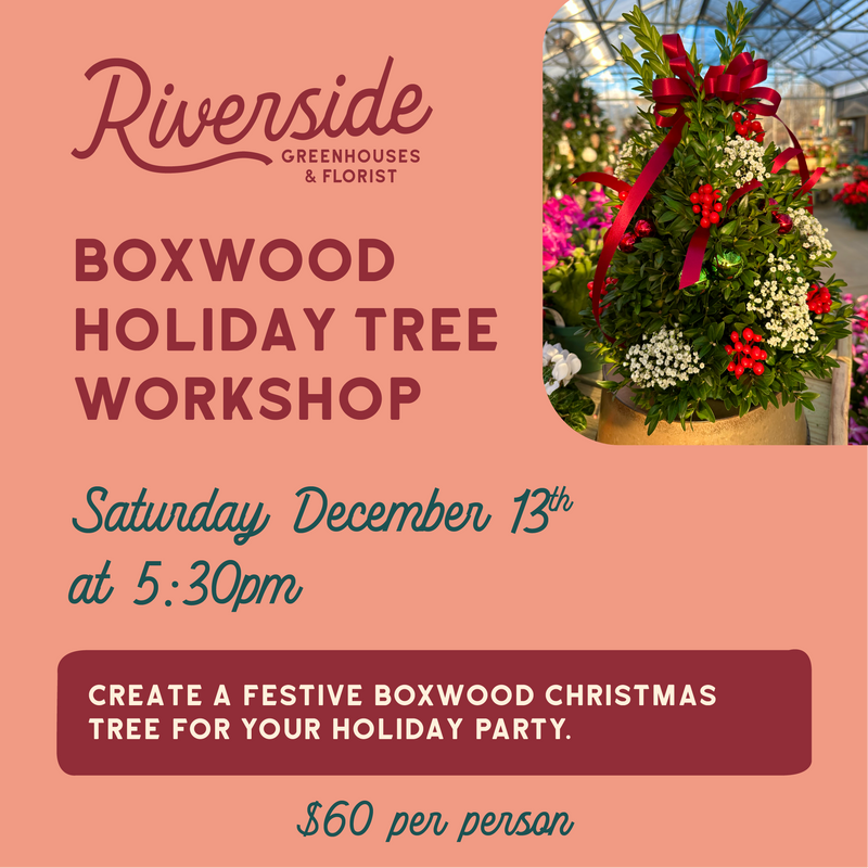 Boxwood Holiday Tree Workshop Saturday, December 13th