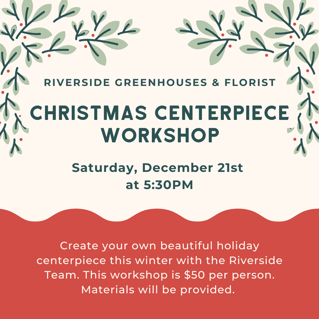 (FULL) Christmas Centerpiece Workshop Saturday, December 21st