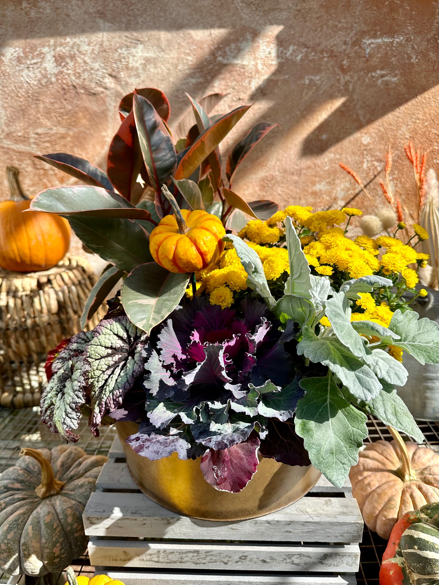 Harvest Dish Garden