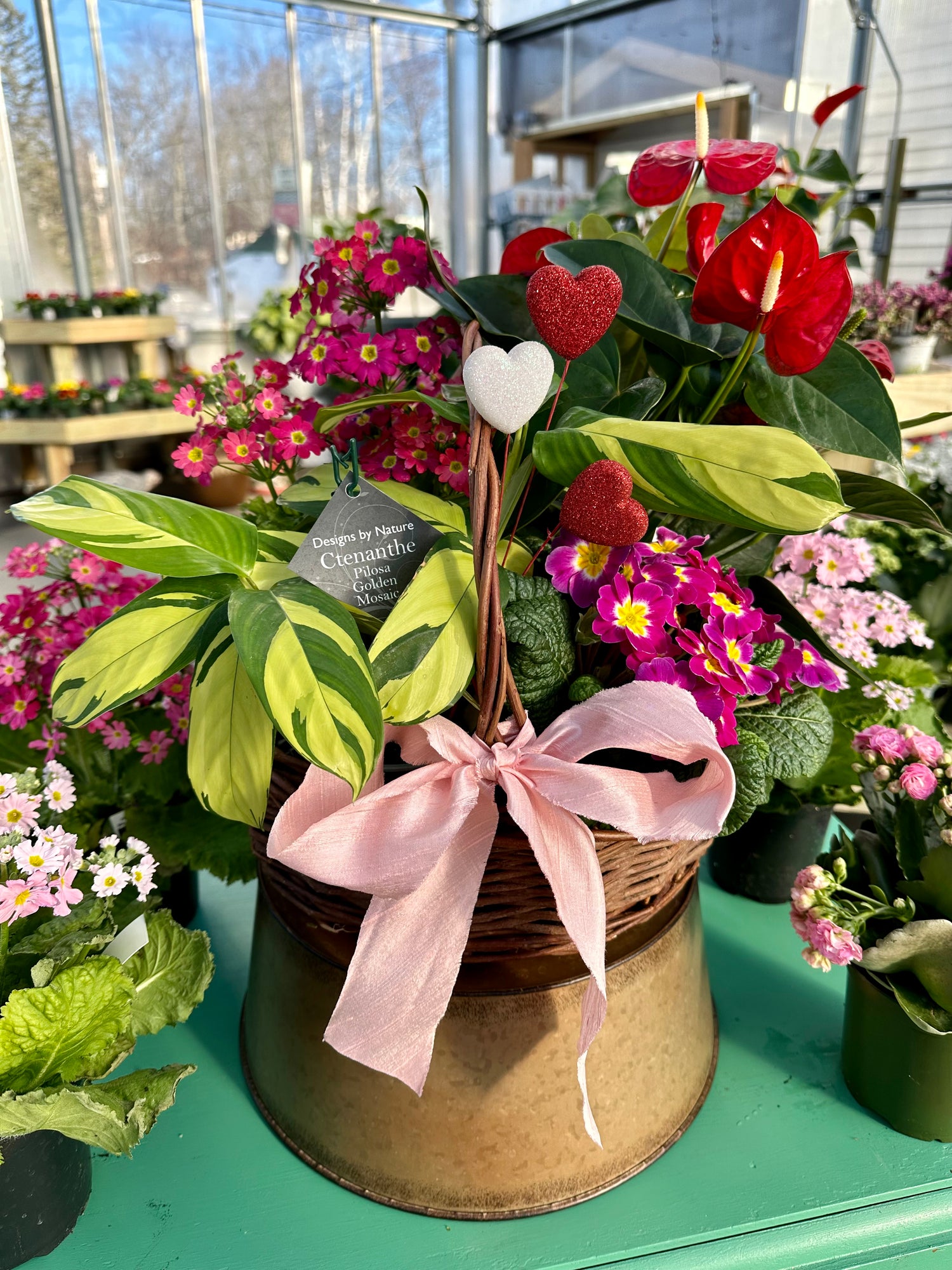 house of plant lovers Plant Lovers – Riverside Greenhouses & Florist